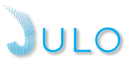 Our work on Julo in Develop their backend with Golang development