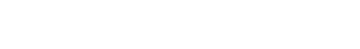 golang development company